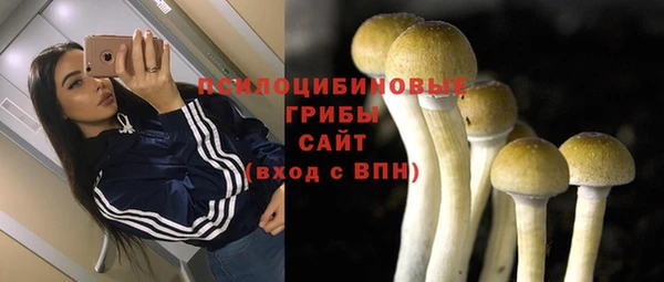 СК Волоколамск